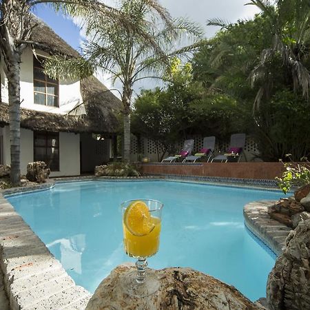 Out Of Africa Guesthouse Otjiwarongo Extérieur photo